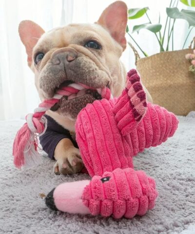 Flamingo Dog Toy