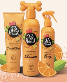 Screenshot at Jan 21 21-24-55